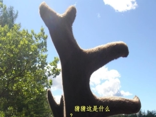 下节日礼物课件