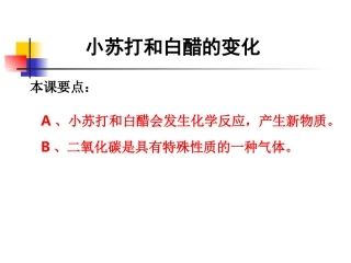 教科版小学科学六年级下册第二单元《小苏打和白醋的变化》课件