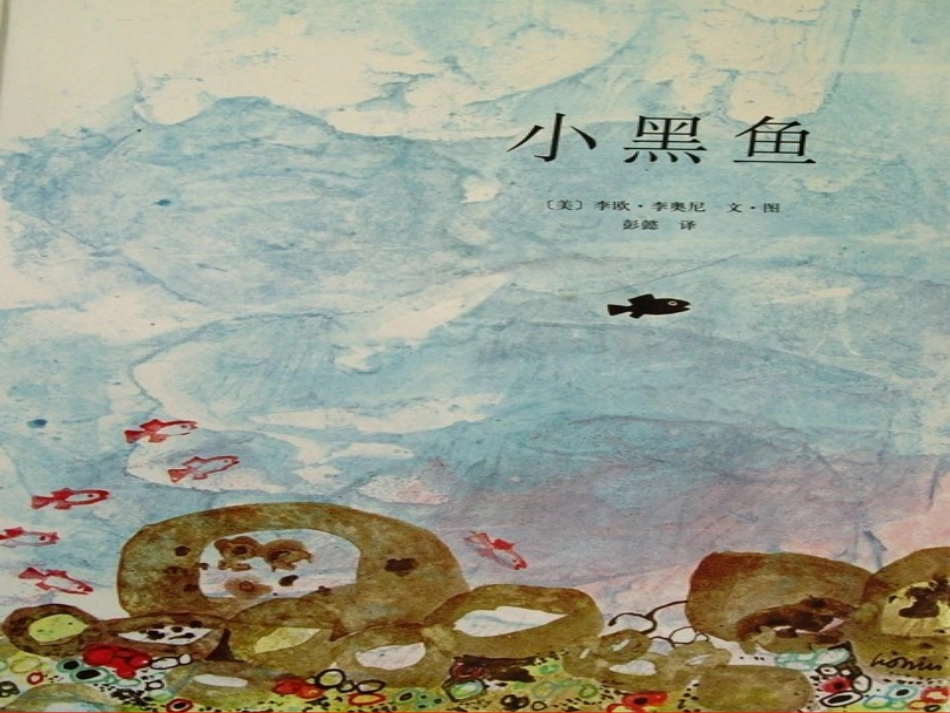小黑鱼(1)_第1页
