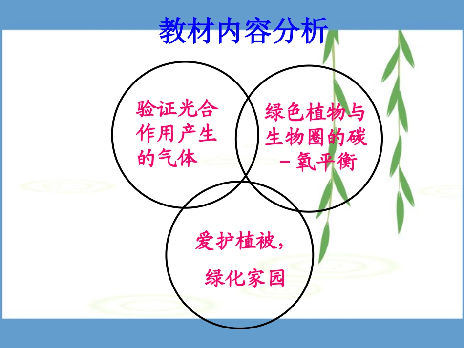 绿色植物与生物圈中的碳氧平衡_第3页