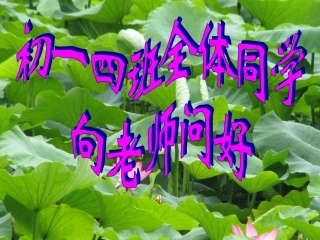荷叶课件MicrosoftPowerPoint演示文稿