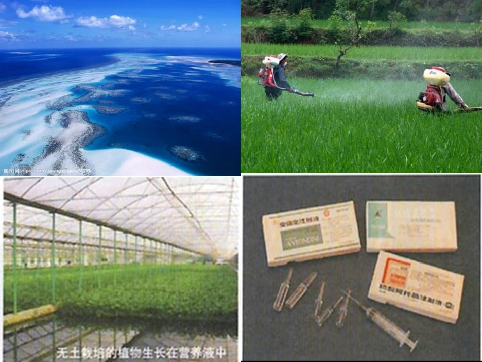 初中化学溶液的形成_第2页