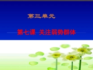 九年级政治37《关注弱势群体》课件2教科版