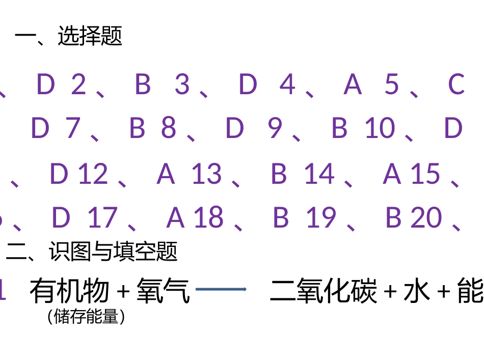 2013年七上生物水平测试_第1页