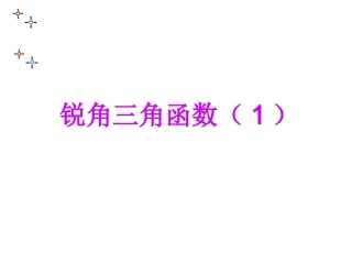 锐角三角函数李红