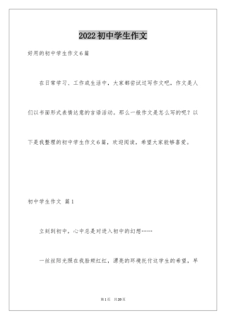 2024初中学生作文_40