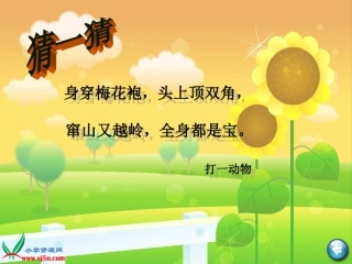 刘慧姝狮子和鹿课件