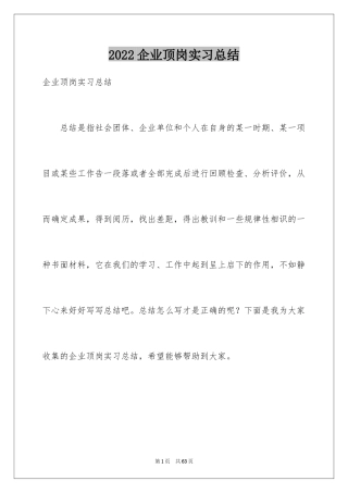 2024企业顶岗实习总结