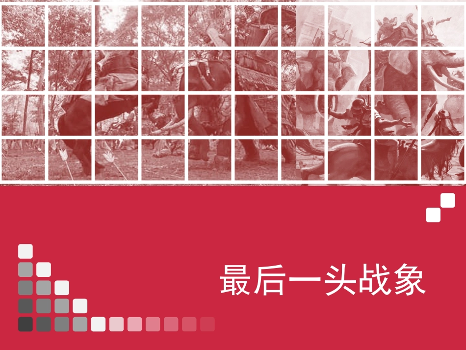 最后一头战象B案_第2页