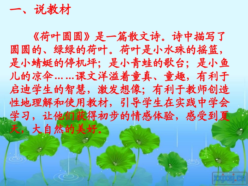 荷叶圆圆课件 (2)_第2页