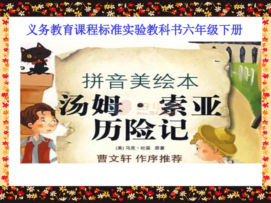 汤姆索亚历险记课件_第1页