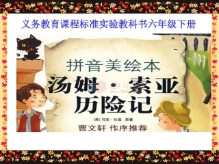 汤姆索亚历险记课件