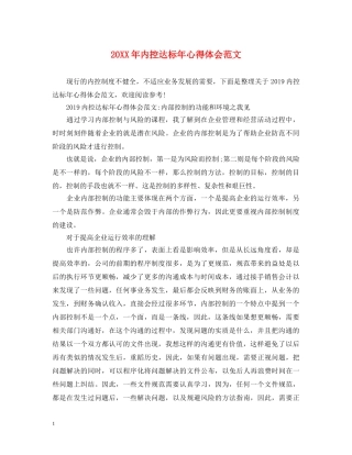 20XX年内控达标年心得体会范文 