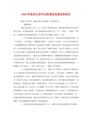 2024年度党支部书记抓基层党建述职报告 