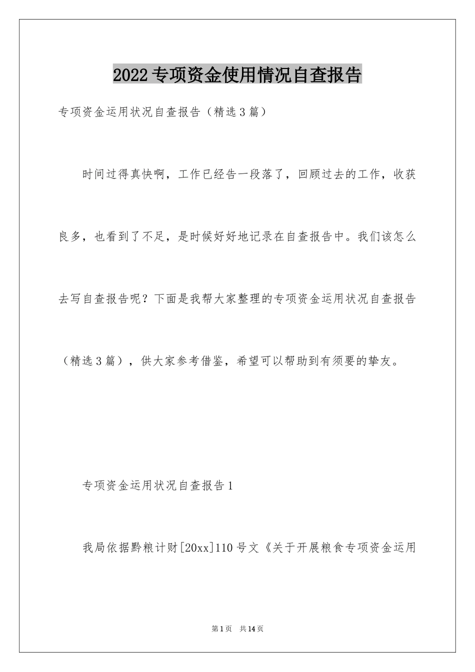 2024专项资金使用情况自查报告_第1页