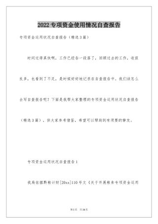 2024专项资金使用情况自查报告