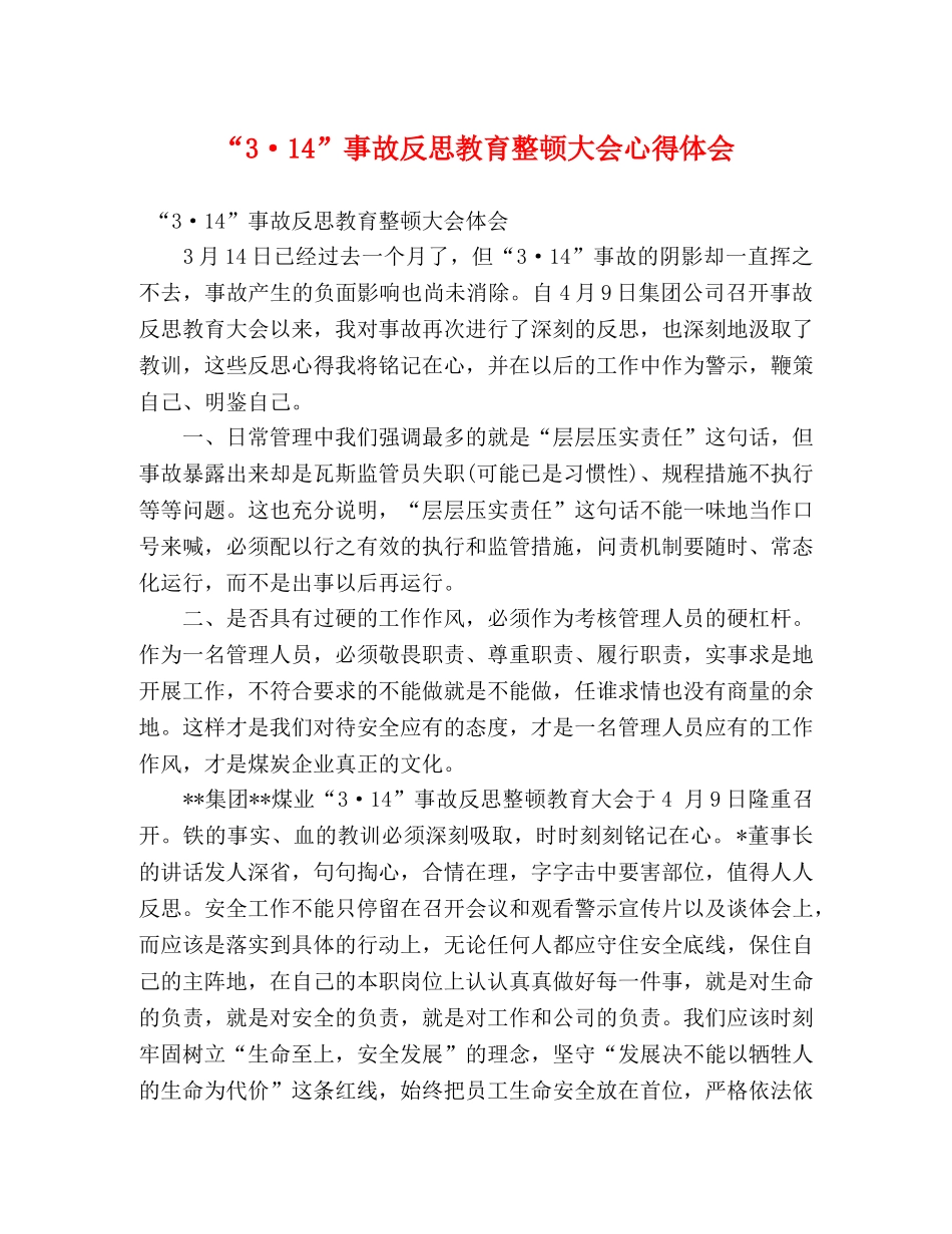 “3·14”事故反思教育整顿大会心得体会 _第1页