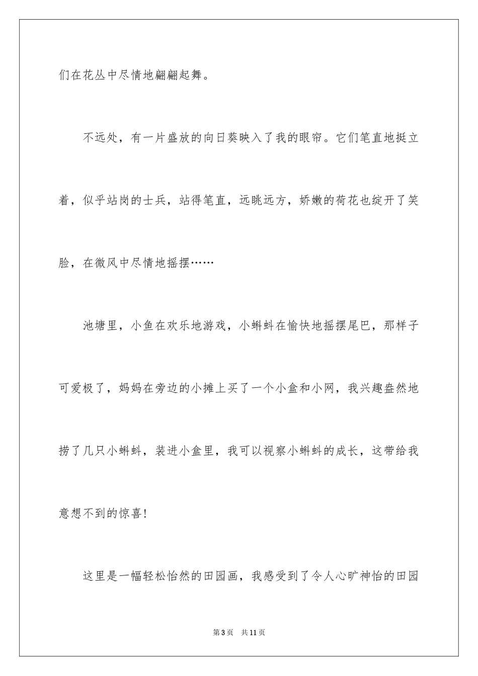 2024乡村叙事作文300字_11_第3页