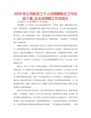 2024年公司新员工个人试用期转正工作总结5篇_企业试用期工作总结大 