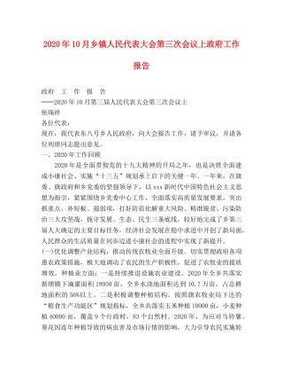 2024年10月乡镇人民代表大会第三次会议上政府工作报告 