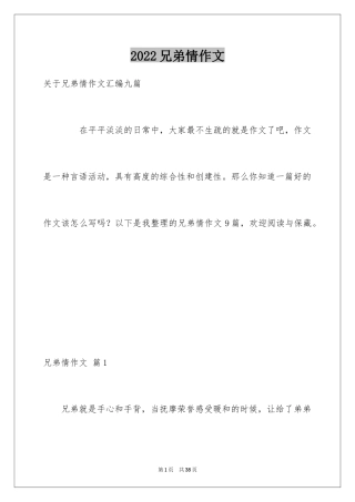 2024兄弟情作文_61