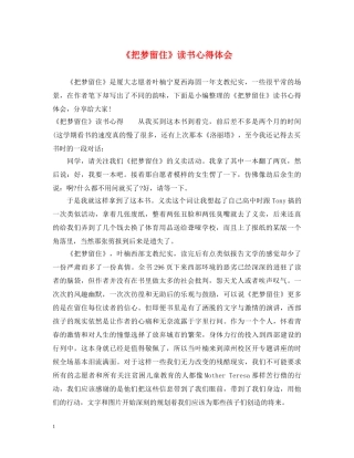 《把梦留住》读书心得体会 