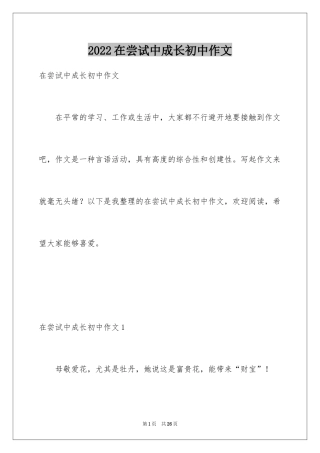 2024在尝试中成长初中作文