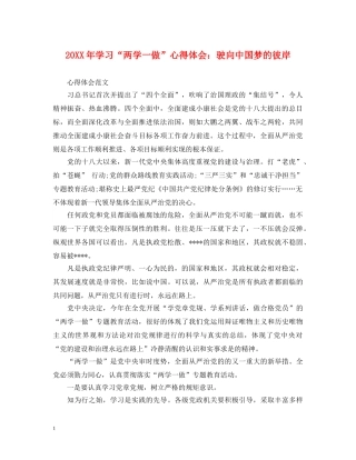 20XX年学习“两学一做”心得体会：驶向中国梦的彼岸 