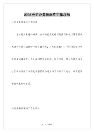 2024公司业务员年终工作总结