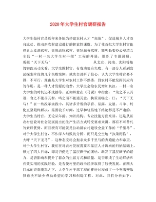 2024年大学生村官调研报告 