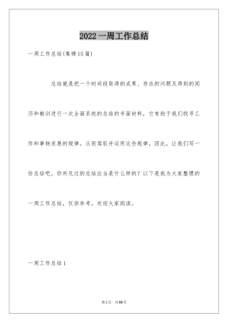 2024一周工作总结_31