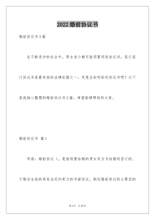 2024婚前协议书_27