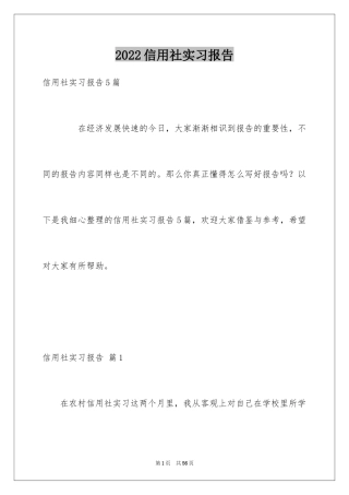 2024信用社实习报告_7