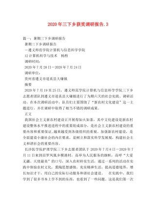 2024年三下乡获奖调研报告3 