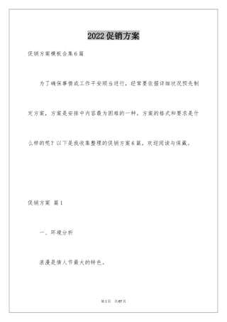 2024促销方案_85