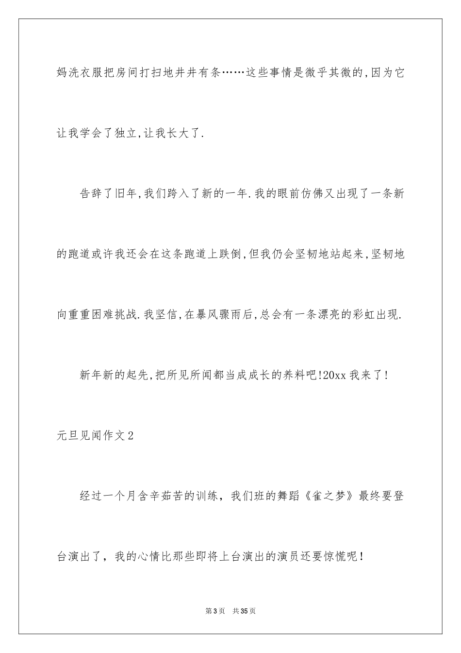 2024元旦见闻作文_3_第3页