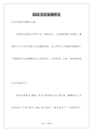 2024元旦见闻作文_3