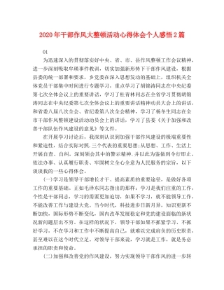 2024年干部作风大整顿活动心得体会个人感悟2篇 