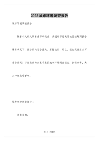 2024城市环境调查报告_1