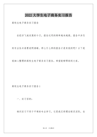 2024大学生电子商务实习报告_8