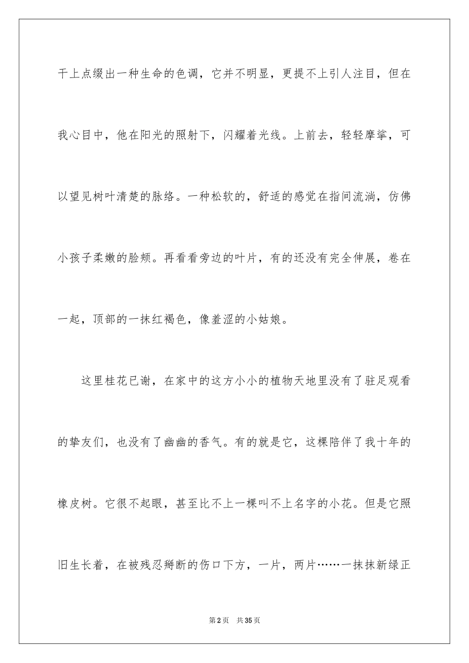 2024写状物作文_40_第2页