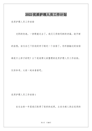 2024优质护理人员工作计划