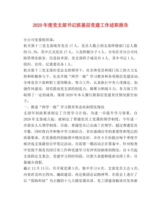 2024年度党支部书记抓基层党建工作述职报告 