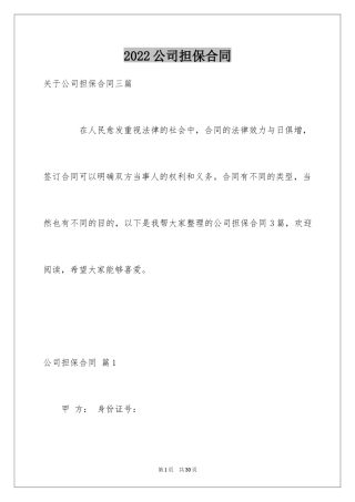 2024公司担保合同_12