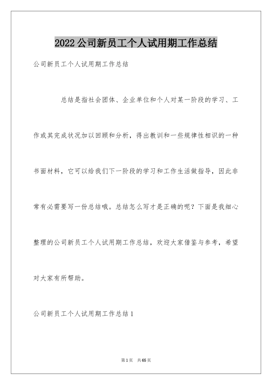 2024公司新员工个人试用期工作总结_3_第1页