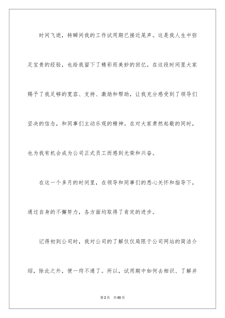 2024公司新员工个人试用期工作总结_3_第2页