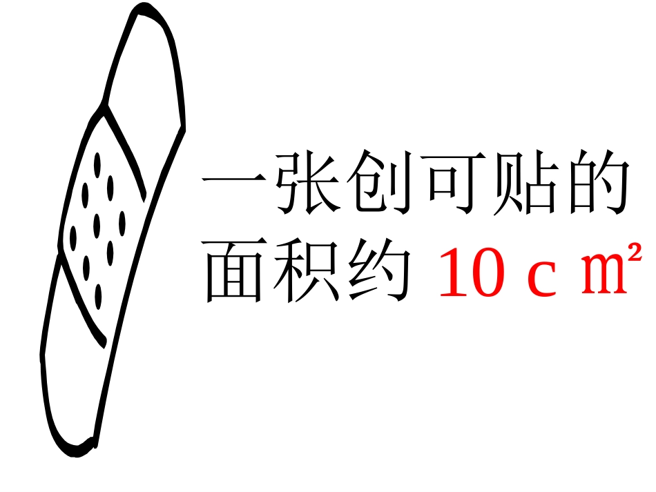 认识面积单位_第3页