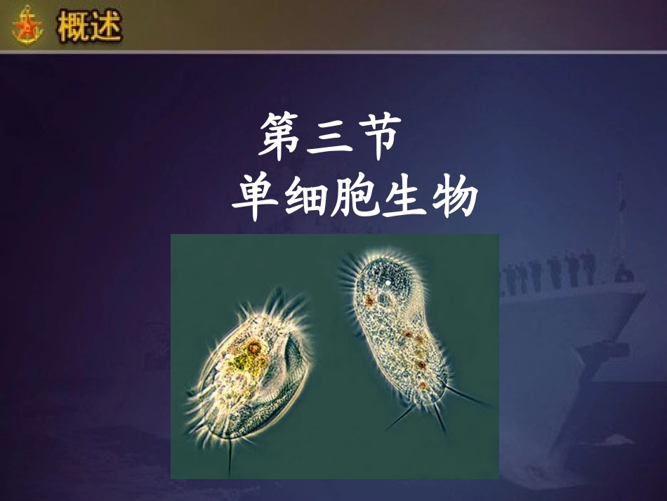 单细胞生物课件 (2)_第1页