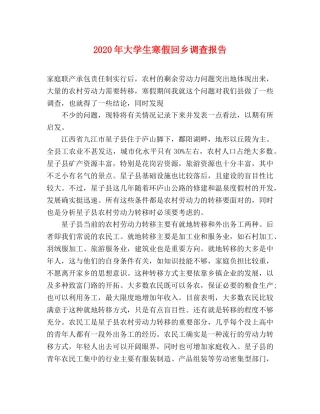 2024年大学生寒假回乡调查报告 