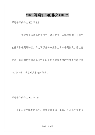 2024写端午节的作文800字_2